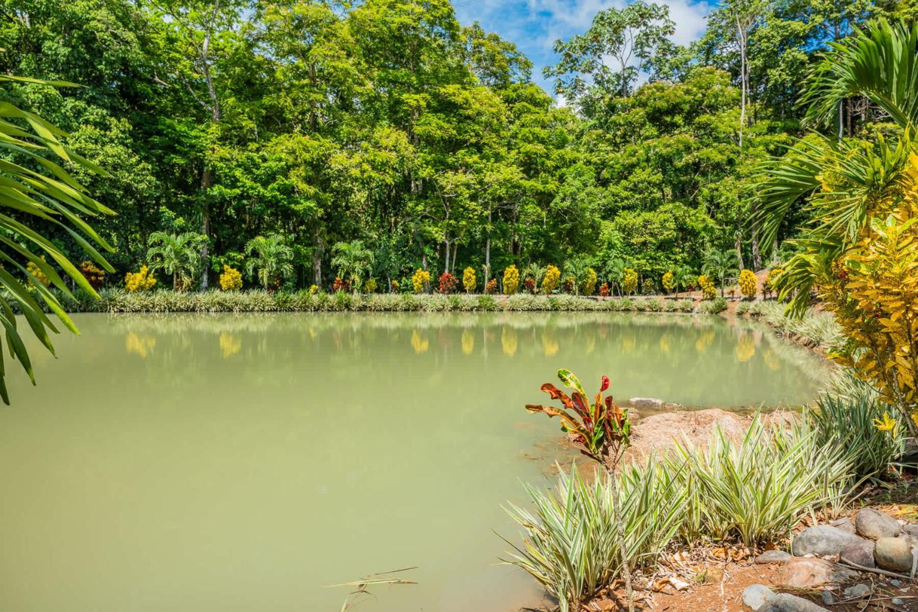 Nayari Sloth Farmstay Villa San Ramon  Exterior photo